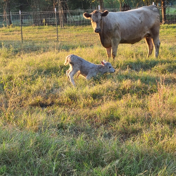 My Babies 😍❤ - Picture 6 of 13